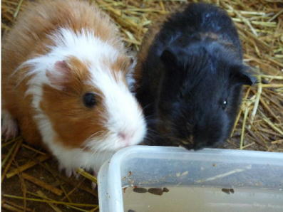 ��t�R�W�]�ӂꂠ���L��