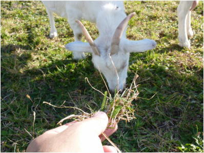 ��t�R�W�]�ӂꂠ���L��