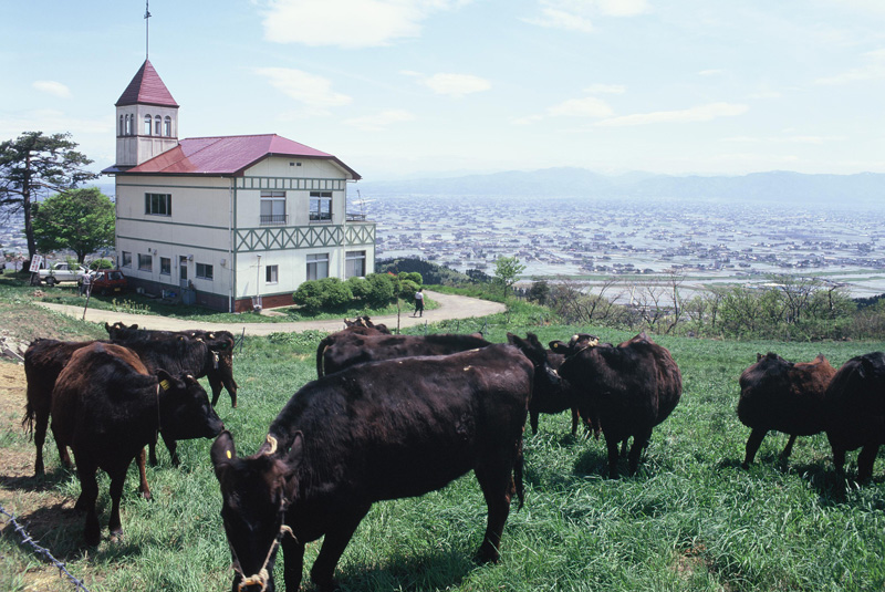 ��t�R�q��