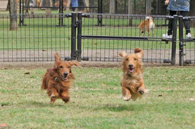 ���̉w����h�b�O����������