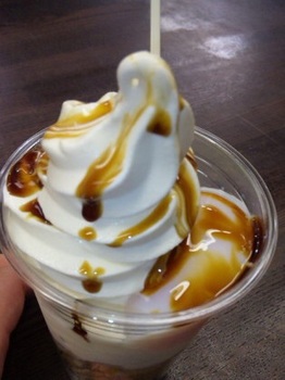 ���̉w������ʃ\�t�g