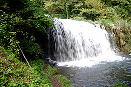 ����{����2�̑�