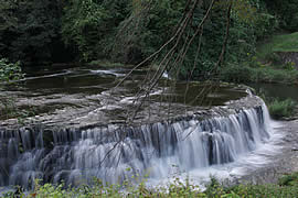 ����{����2�̑�