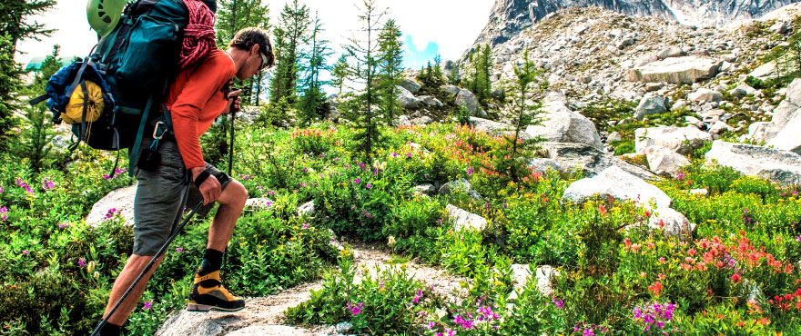 �A�E�g���b�g�p�[�N�k�����